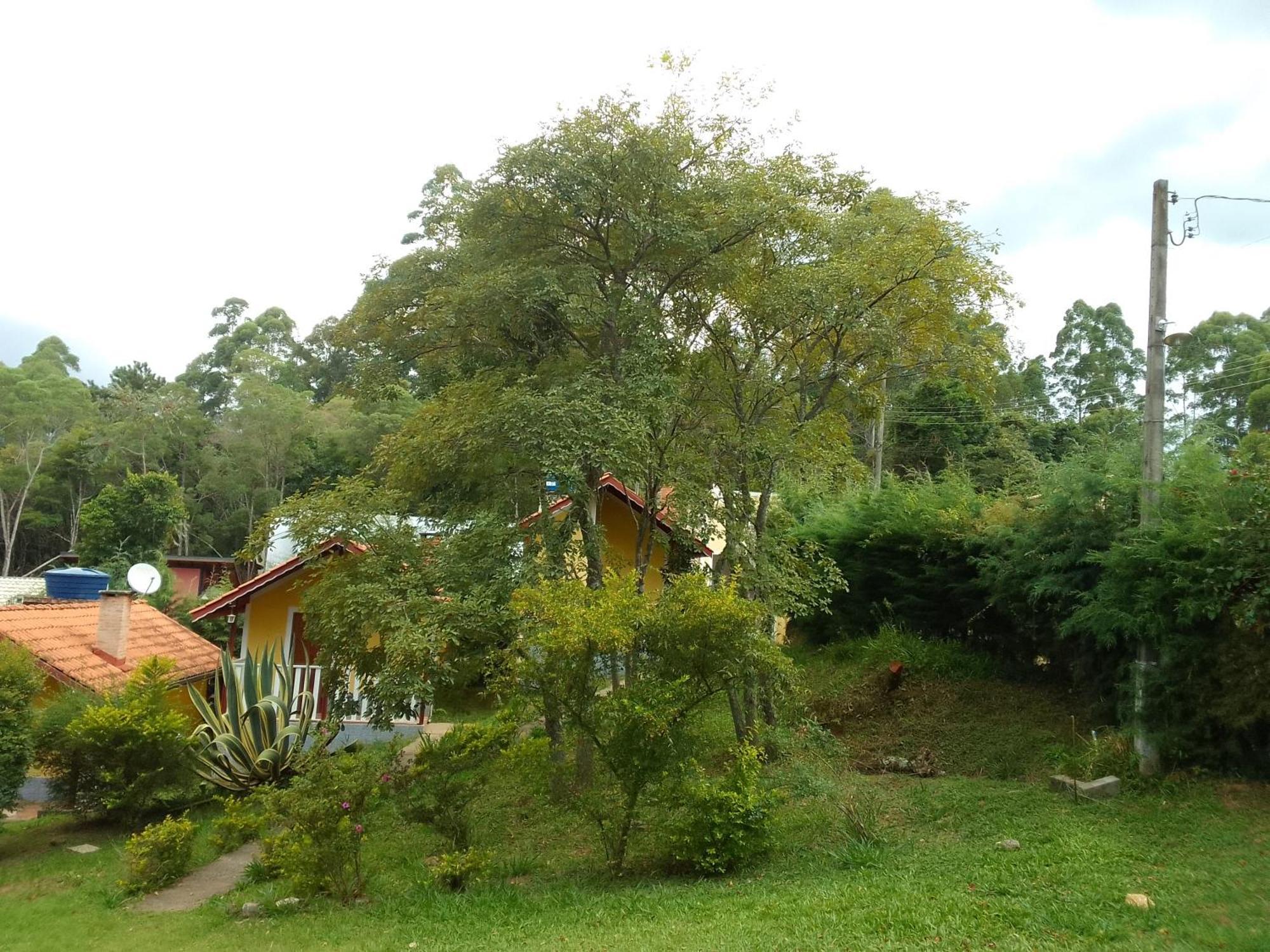 Chales Canto Dos Passaros Monte Verde  Buitenkant foto